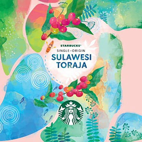Single Origin-Sulawesi Toraja